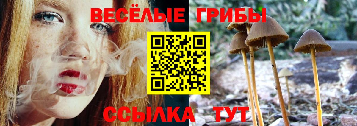 Псилоцибиновые грибы Magic Shrooms  Вход с VPN  Солнечногорск  Галлюциногенные грибы мицелий 