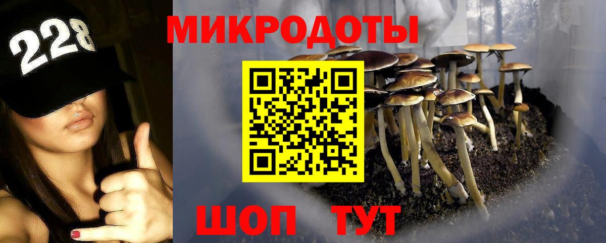 Псилоцибиновые грибы прущие грибы Солнечногорск